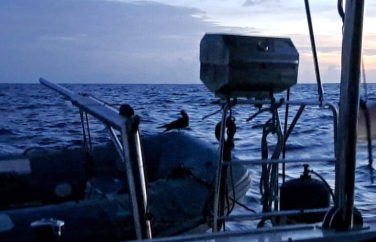 Überfahrt Karibisches Meer - von Puerto Rico/Grosse Antillen nach Bonaire/ Niederländische Antillen 2 Überfahrt Karibisches Meer - von Puerto Rico/Grosse Antillen nach Bonaire/ Niederländische Antillen