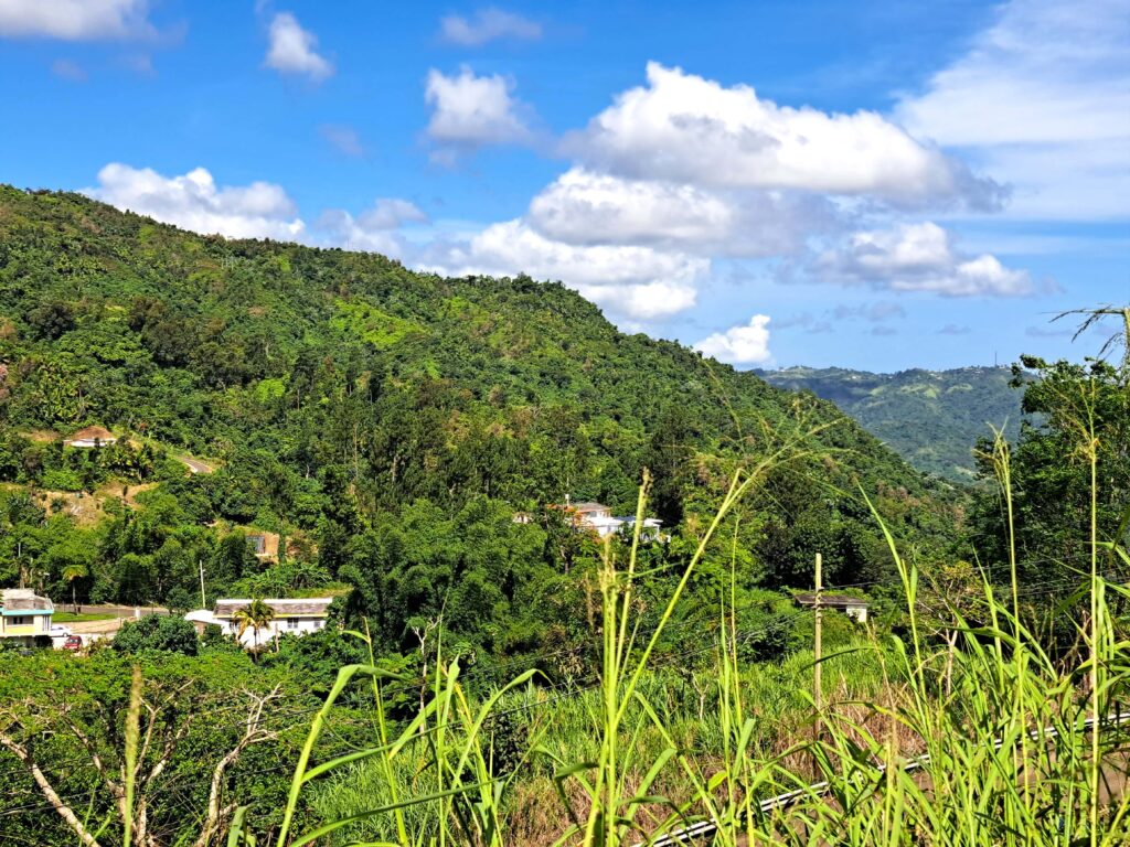 Impressionen einer Landtour in Puerto Rico 2 Cordillieren