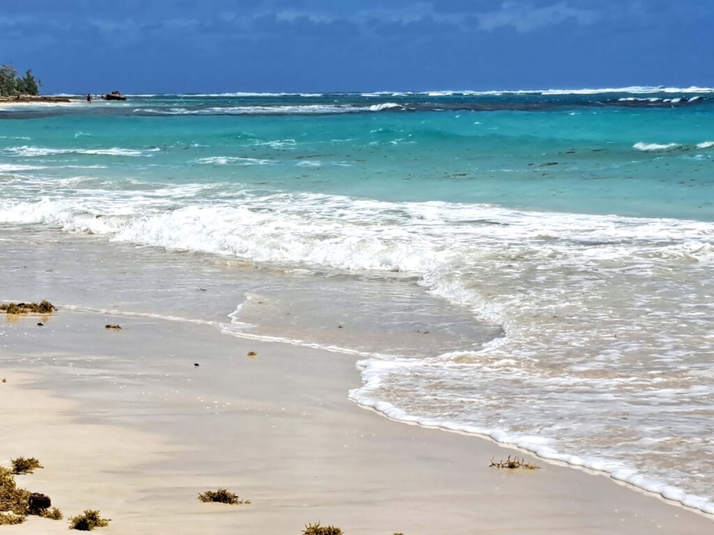 Culebra - Spanisch Virgin Islands von Puerto Rico 5 Flamencobeach