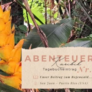 BLOG Weltumsegelung 114 Karibik - Tagebuch - Seite 22