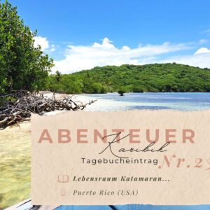 BLOG Weltumsegelung 112 Karibik - Tagebuch - Seite 23