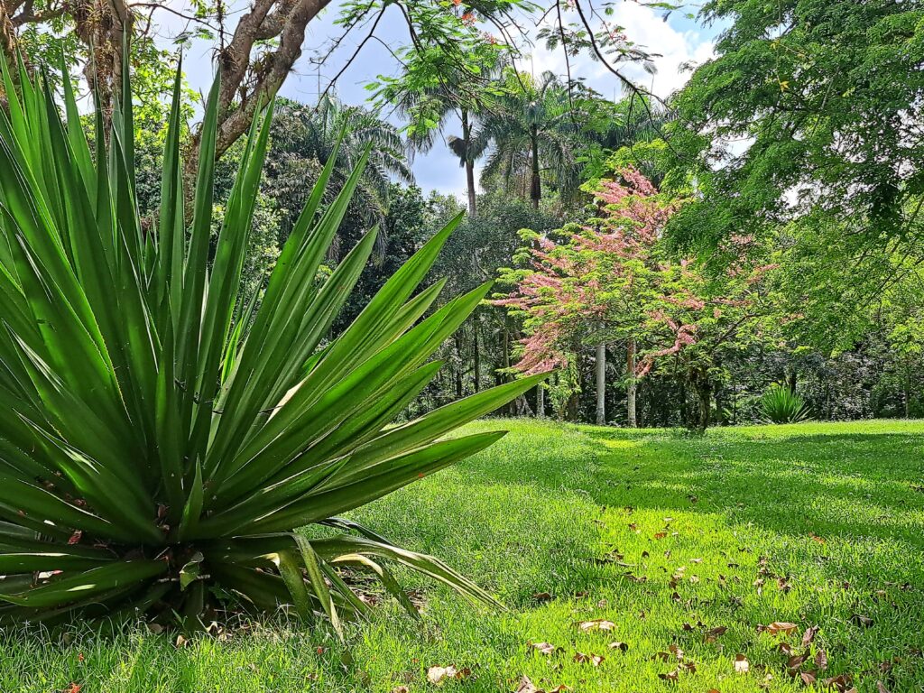 Impressionen einer Landtour in Puerto Rico 24 Memorial Park