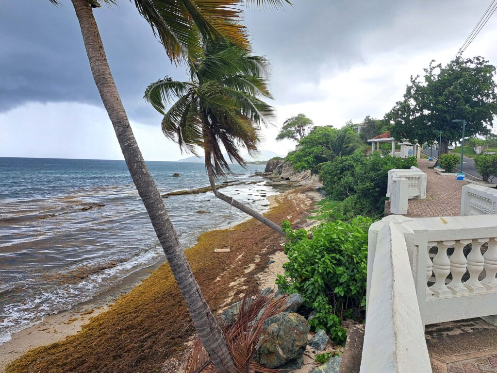 Segelrevier Puerto Rico - ein Erfahrungsbericht 3 Promenade Vieques