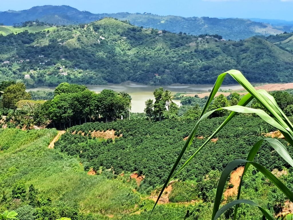 Impressionen einer Landtour in Puerto Rico 10 Seeblick
