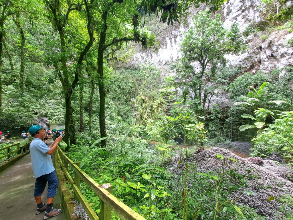 Die Höhlenwelt von Puerto Rico: Parque National de las Cavernas del Rio Camuy 7 06 Abstieg zur Hoehle
