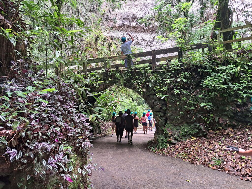 Die Höhlenwelt von Puerto Rico: Parque National de las Cavernas del Rio Camuy 8 07 Bruecke
