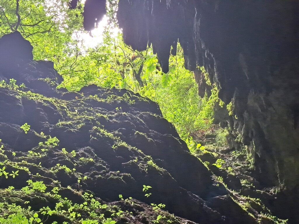Die Höhlenwelt von Puerto Rico: Parque National de las Cavernas del Rio Camuy 10 11 Lichteinfall