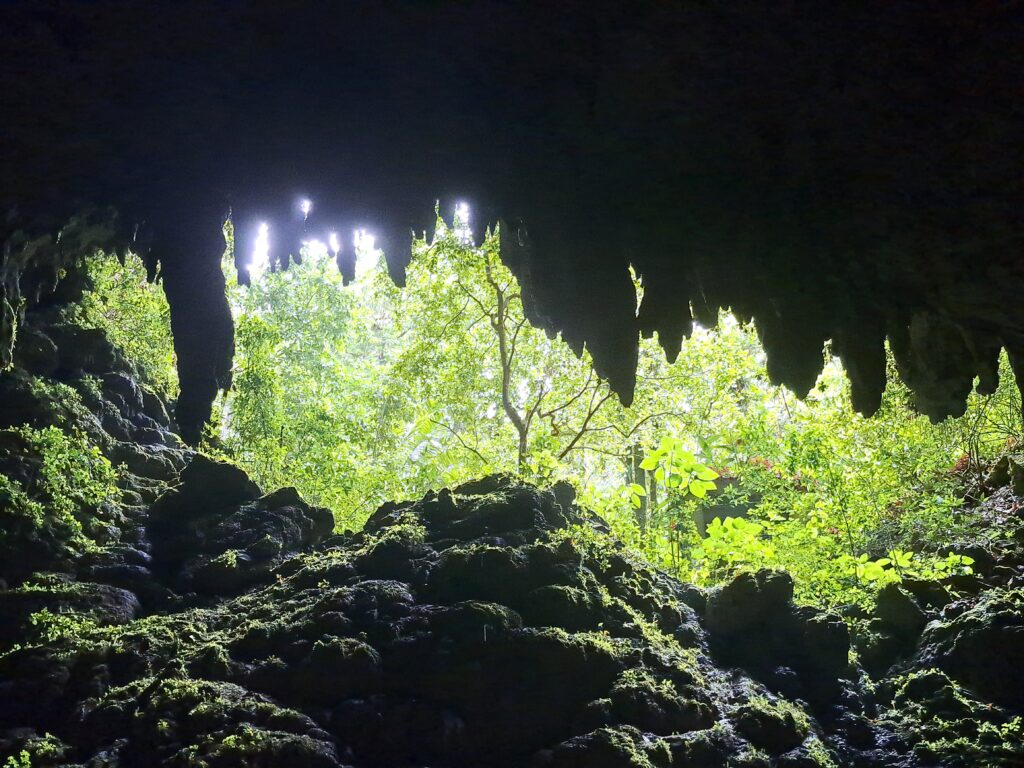Die Höhlenwelt von Puerto Rico: Parque National de las Cavernas del Rio Camuy 13 13 Blick anderer Ausgang