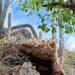 Landtour Curacao - der Norden 14 Beitragsbild Landtour