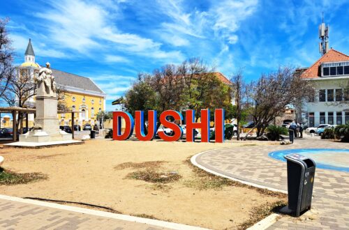 Dushi 1