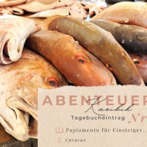 Karibik - Tagebuch - Seite 29