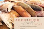 Karibik - Tagebuch - Seite 29