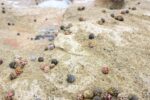 Die Höhlenwelt der Taino: Die Cuevas del Indio