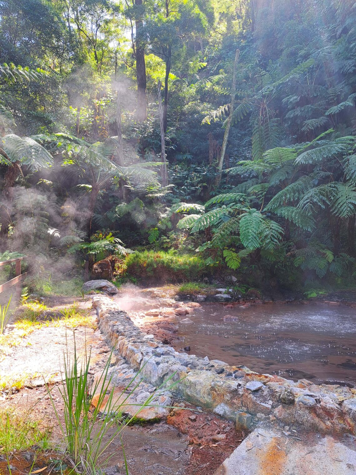 Das Naturdenkmal Caldeira Velha auf der Azoreninsel Sao Miguel 1 Brodelndes Wasser