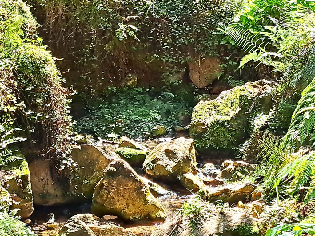 Das Naturdenkmal Caldeira Velha auf der Azoreninsel Sao Miguel 10 Wasserlauf