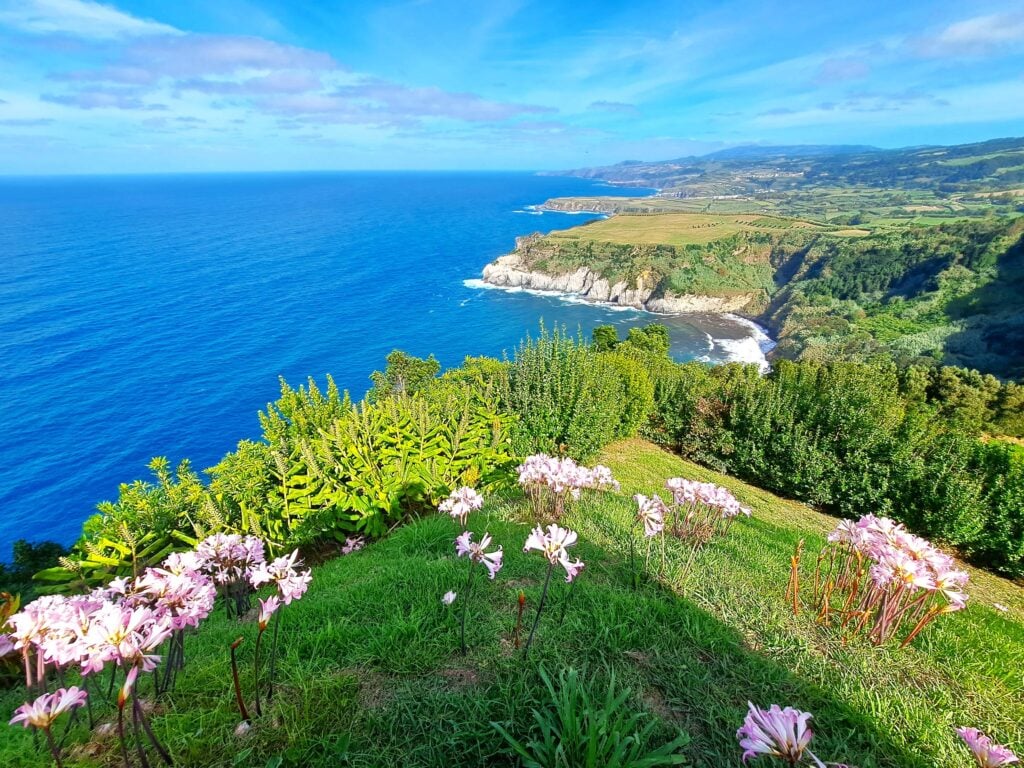 Blick ueber die Kueste mit Blumenmeer