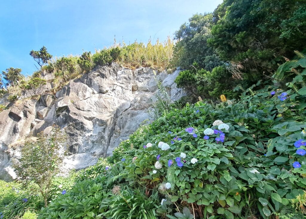 Blumen am Strassenrand