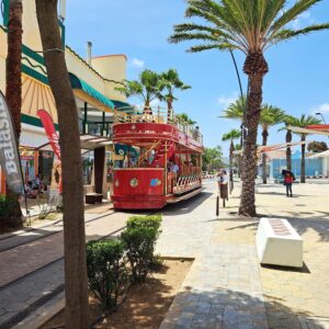 BLOG Weltumsegelung 72 Aruba - Oranjestad, Kakteen und der Divi -Divi - Baum