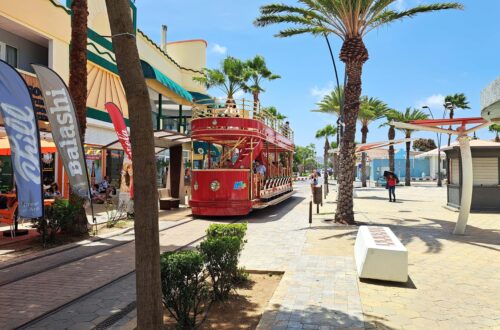 Beitragsbild Aruba