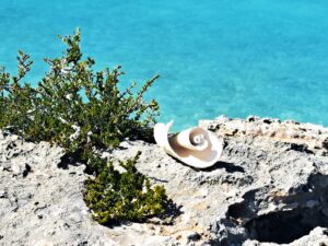 Segelrevier Turks & Caicos - ein Erfahrungsbericht