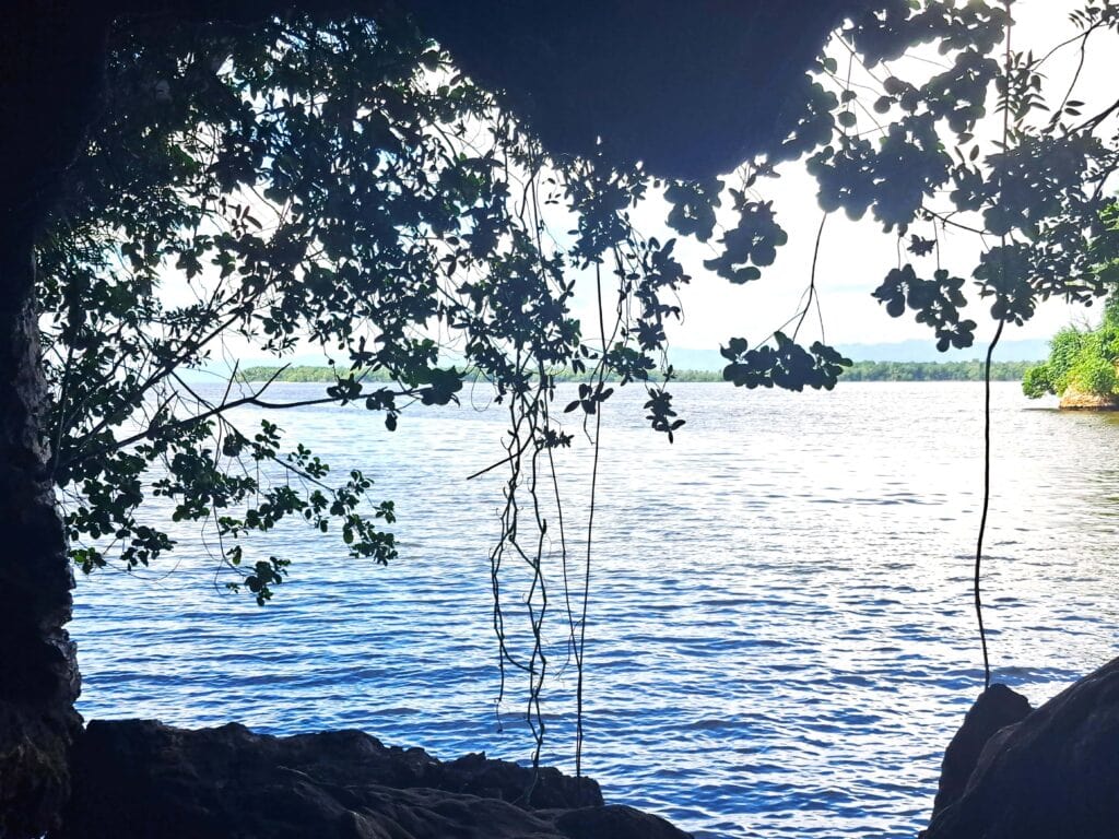 Blick aus der Hoehle