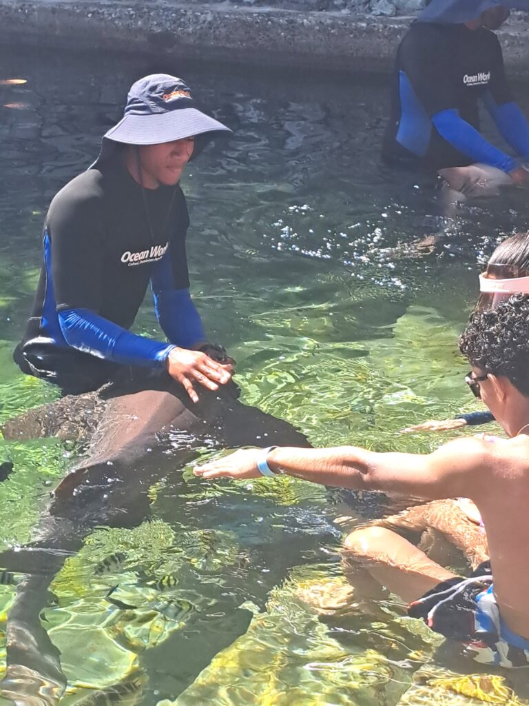 Der Ocean World Adventure Park in Puerta Plata - Dominikanische Republik 8 Haikuscheln fuer Touris