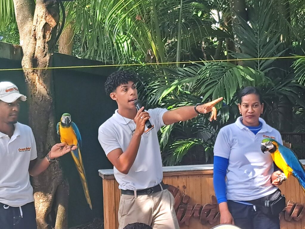 Der Ocean World Adventure Park in Puerta Plata - Dominikanische Republik 12 Papageienshow