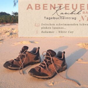 BLOG Weltumsegelung 40 Karibik - Tagebuch - Band II - Nr. 15