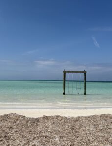 Bahamas - Eleuthera - die Mädelscrew mit Skipper possiert auf den Meeresschaukeln