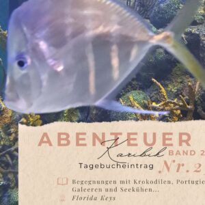 BLOG Weltumsegelung 14 Karibik - Tagebuch - Band II - Nr. 23