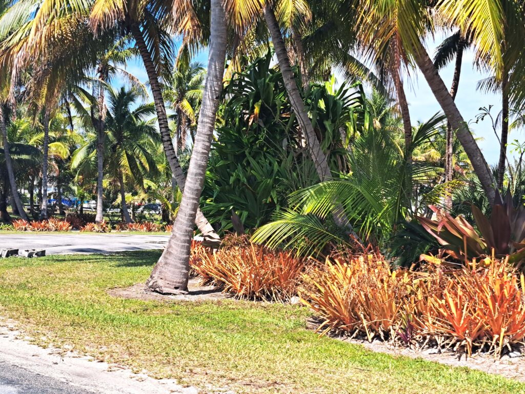 Bahamas - Eleuthera - mit dem Golfcart unterwegs in Spanish Wells & Russell Island 9 Überall auf Eluthera ist es vorbildlich sauber. Grünflächen und Gärten sind gepflegt.