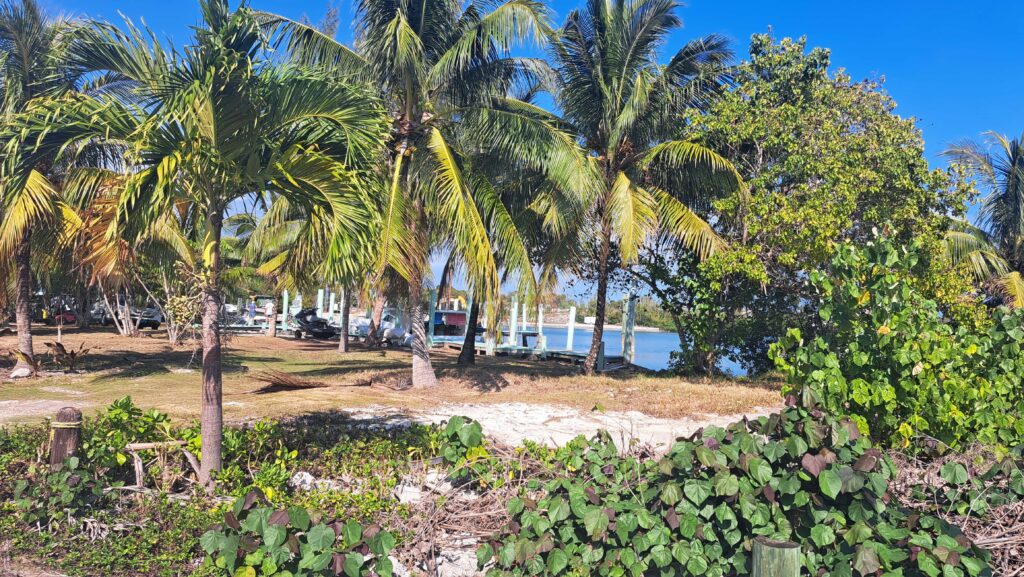 Bahamas - Eleuthera - mit dem Golfcart unterwegs in Spanish Wells & Russell Island 15 Von überall kann man das Meer sehen.