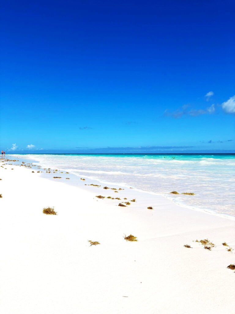Gastbeitrag: Die Bahamas auf eine ganz unkonventionelle Art erleben 4 Pink Beach Kristin