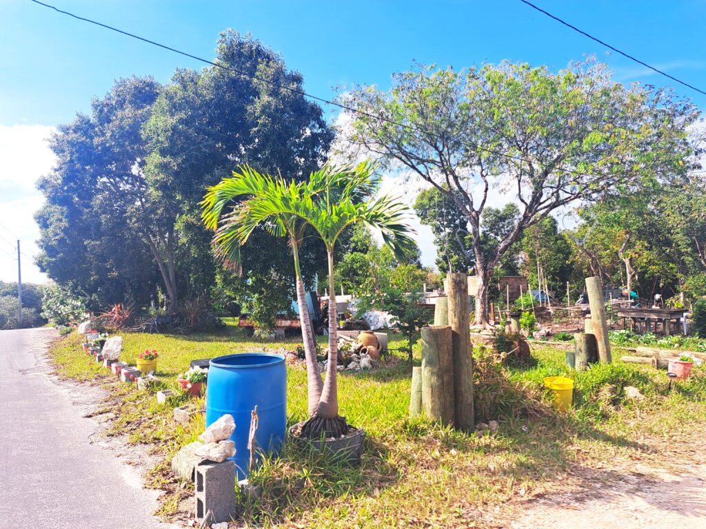 Bahamas - Eleuthera - mit dem Golfcart unterwegs in Spanish Wells & Russell Island 10 Müllentsorgung pragmatisch und vorbildlich. Überall stehen blaue Tonnen am Wegesrand.