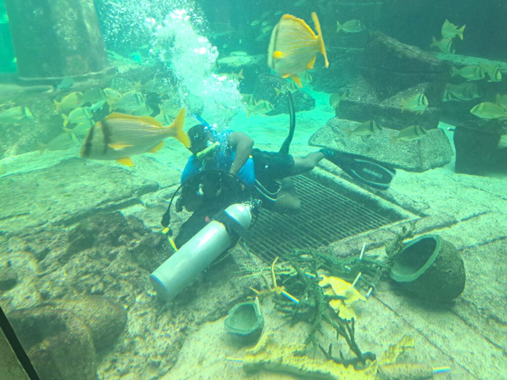 Taucher im Aquarium