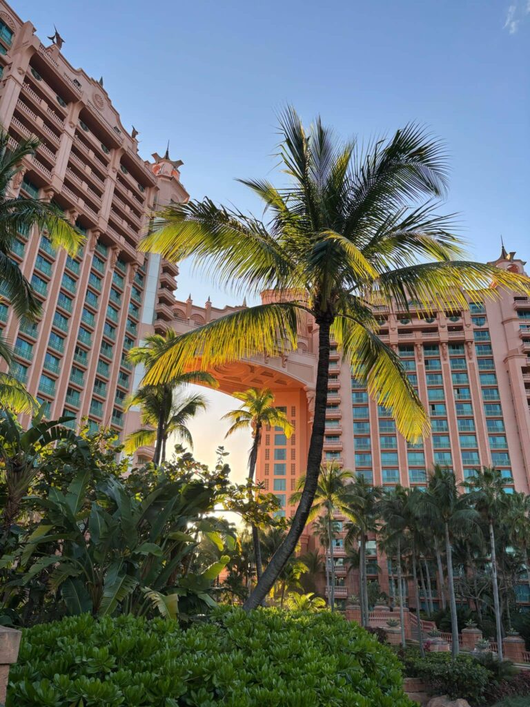 Gastbeitrag: Die Bahamas auf eine ganz unkonventionelle Art erleben 7 WhatsApp Bild 2025 03 12 um 20.39.25 04590d8f