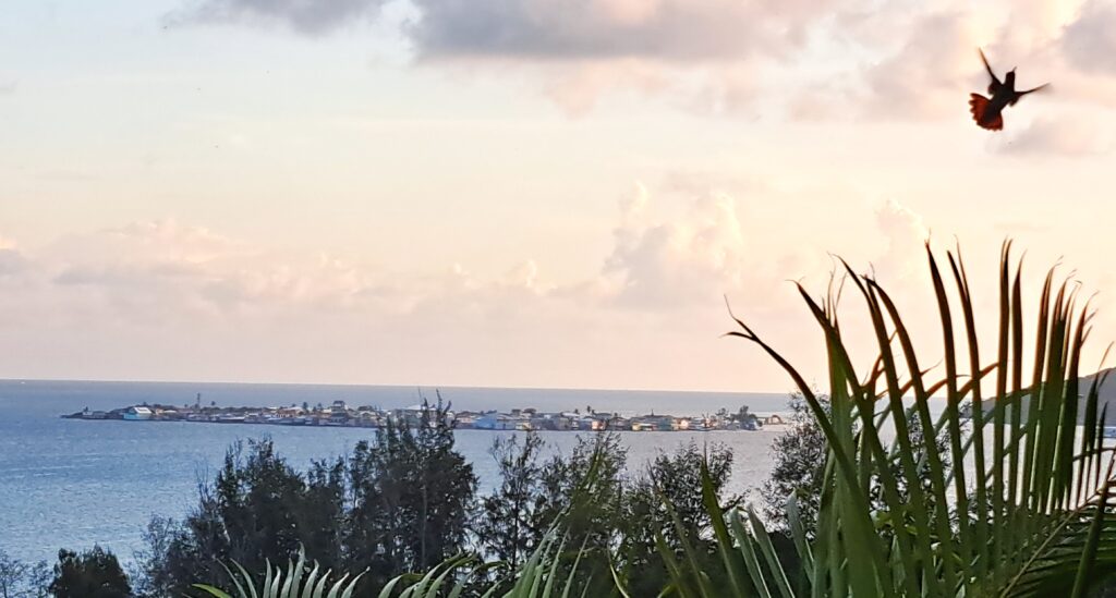 Die Bay Islands von Honduras - Guanaja 2 Bonacce, hier wohnen die meisten Einwohner von Guanaja.