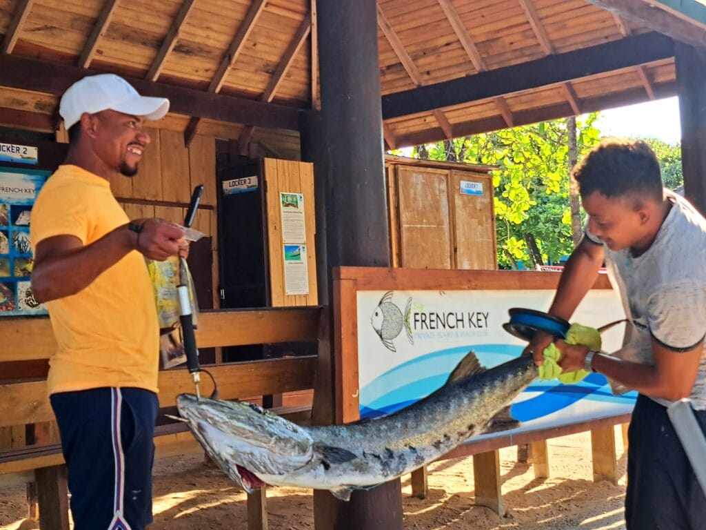 Karibik - Tagebuch - Band II - Nr. 37 9 Großer Barracuda direkt im flachen Wasser gefangen.