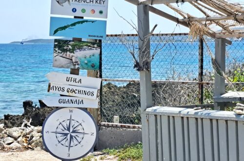 Beitragsbild French Key