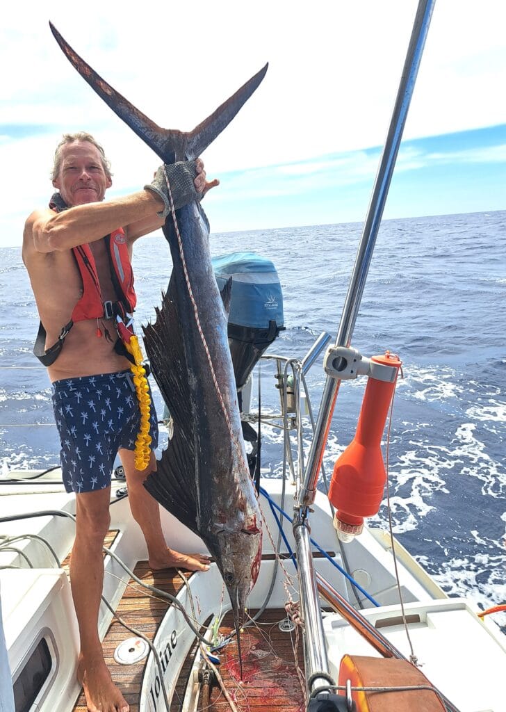 Karibik - Tagebuch - Band II - Nr. 38 11 Sailfisch / Segelfisch von 180 cm Länge.