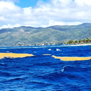 Die Bay Islands von Honduras - Guanaja