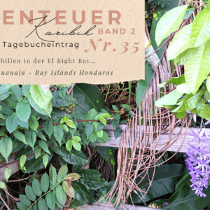 BLOG Weltumsegelung 1 Karibik - Tagebuch - Band II - Nr. 35