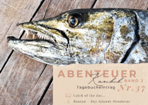 Blue Joline – Unser Weltumsegelung Blog 13 Karibik - Tagebuch - Band II - Nr. 37