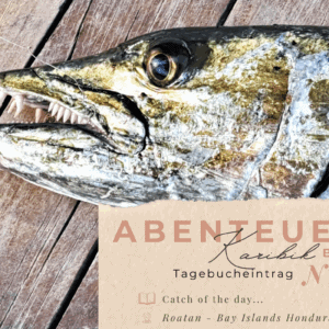 BLOG Weltumsegelung 1 Karibik - Tagebuch - Band II - Nr. 37