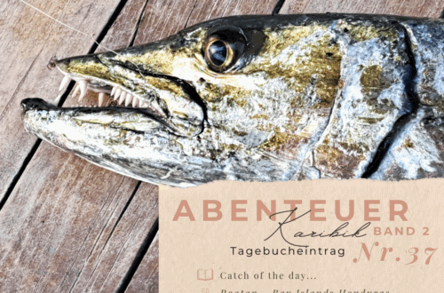 Karibiktagebuch II 37 Catch of the day