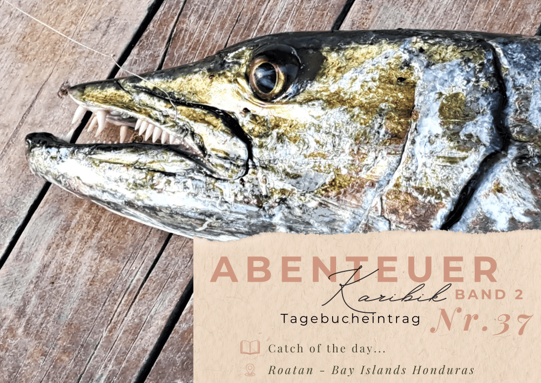 Karibik - Tagebuch - Band II - Nr. 37 1 Karibiktagebuch II 37 Catch of the day