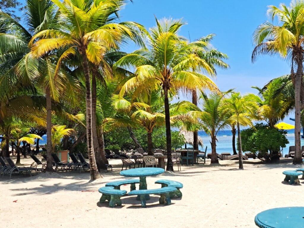 Roatan: 1. Besuch von "Little French Key" - Bay Islands Honduras 6 LFK 2