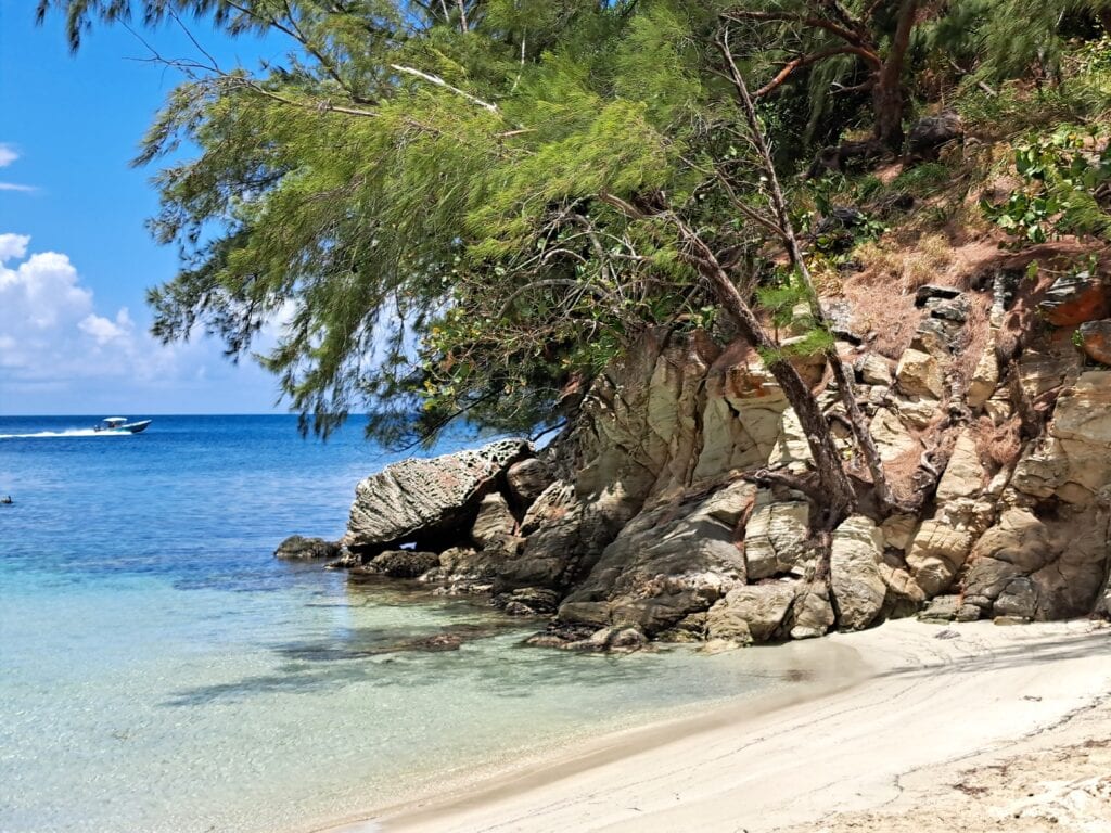 Die Bay Islands von Honduras - Guanaja 30 Schnorchelgrund