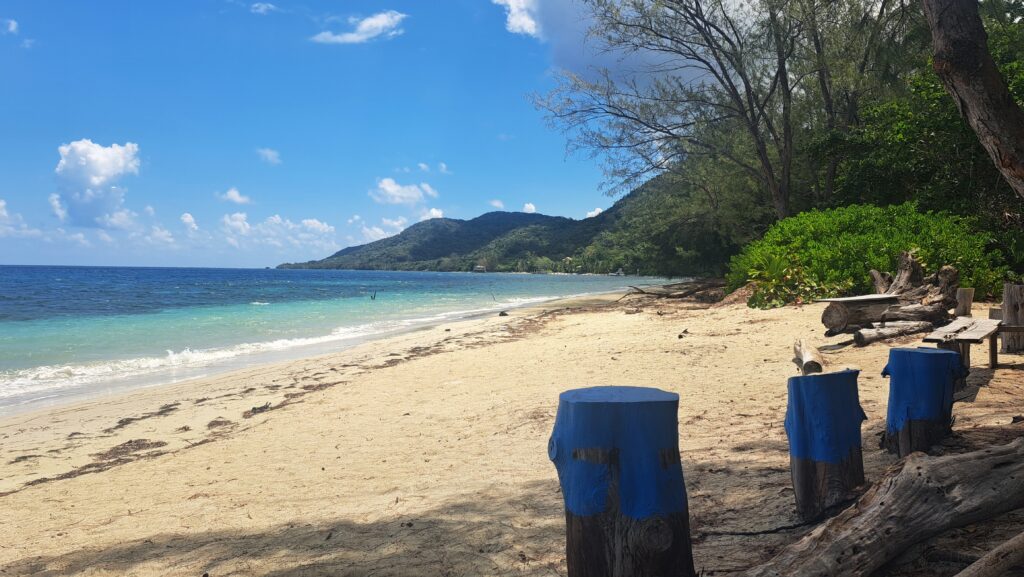 Die Bay Islands von Honduras - Guanaja 29 Strand mit Ausblick