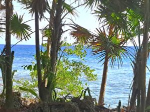 Blue Joline – Unser Weltumsegelung Blog 13 Roatan: 3. Besuch von "Bradys Cay" - Bay Islands Honduras